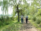 trail.jpg (288kb)
