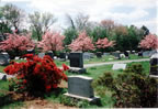 Kingston Cemetery (124kb)