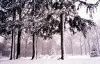 April Snow, Mapleton Road by the Seminary (74kb)
