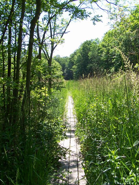 Boardwalk, Before