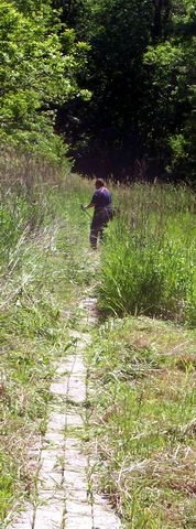 Clearing the Trail