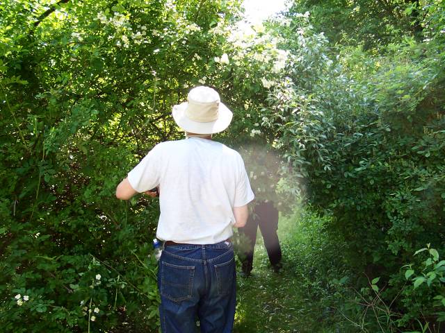 Clearing the Path