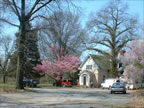 Rear View of Princeton Nurseries Main Office Building (152kb)