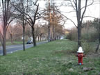 Mapleton Road (157kb)