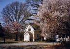 Princeton Nurseries Main Office Building  (55kb)