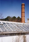 Princeton Nurseries Greenhouse (33kb)