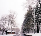 Seminary Road (old alignnment) with defunct building (111kb)
